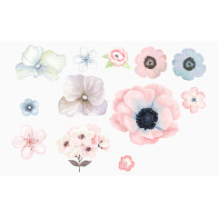 卡通手绘水彩唯美花朵