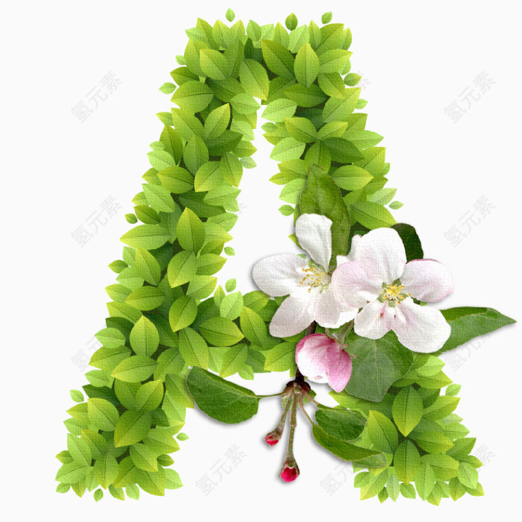 春意盎然的绿叶花卉字母A 