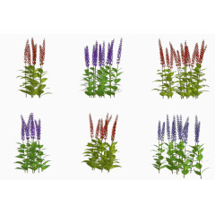 庆典花卉花草标签