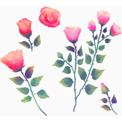 红玫瑰水彩手绘装饰元素