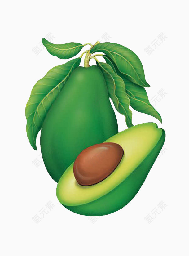 手绘切开的牛油果