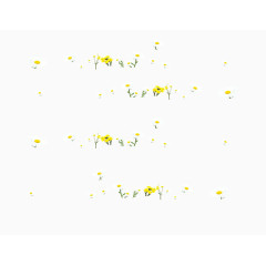 清明踏春白色花朵合成素材