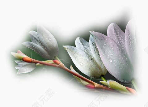 手绘花卉素材卡通