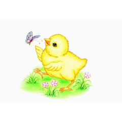 小黄鸡