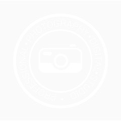 摄影工作室标签设计矢量素材