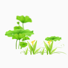 绿色荷花荷叶免抠图PNG元素