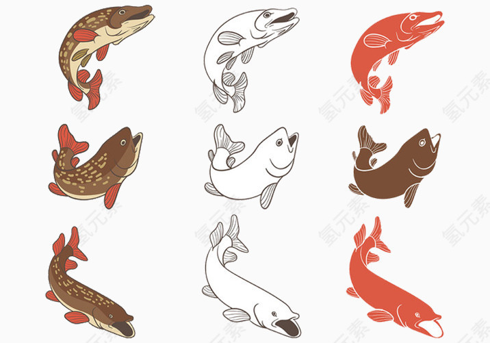 鱼类海鲜食物组合