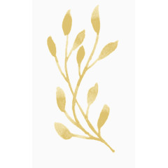 植物水彩画
