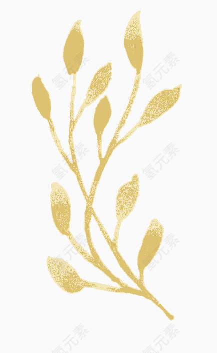 植物水彩画