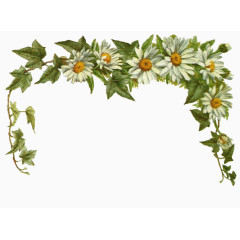 鲜花图案唯美背景图片 清新花枝