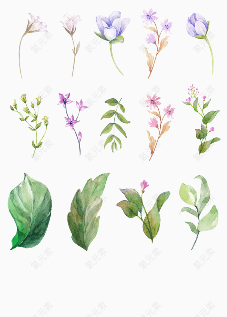 手绘绿叶小花