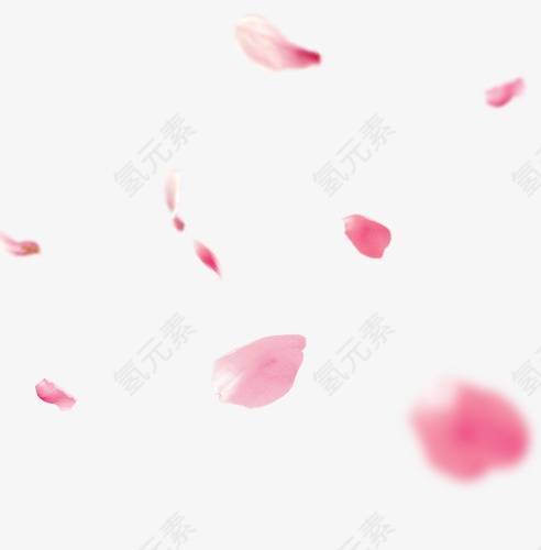 花瓣漂浮粉色装饰