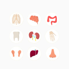 身体器官图标