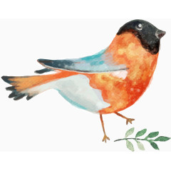 水粉画彩色小鸟 