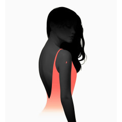 美女背影