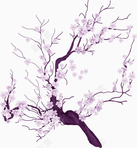 满树梅花