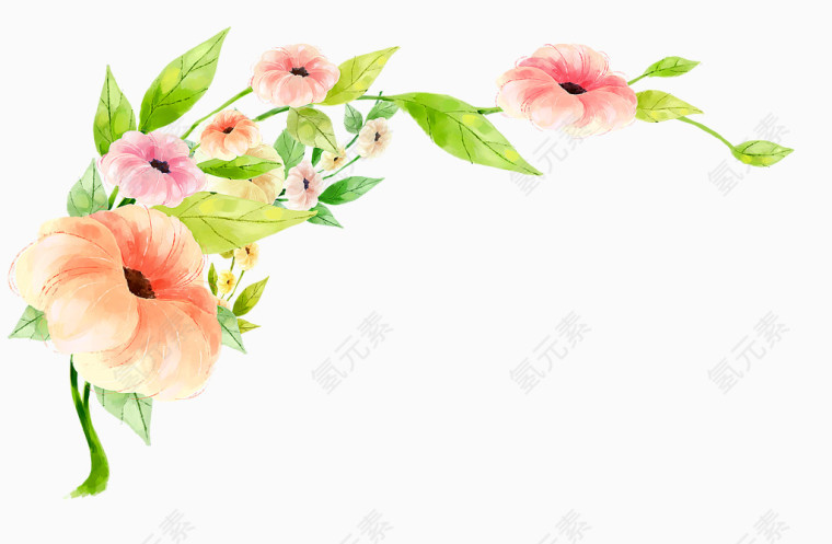 手绘花卉植物