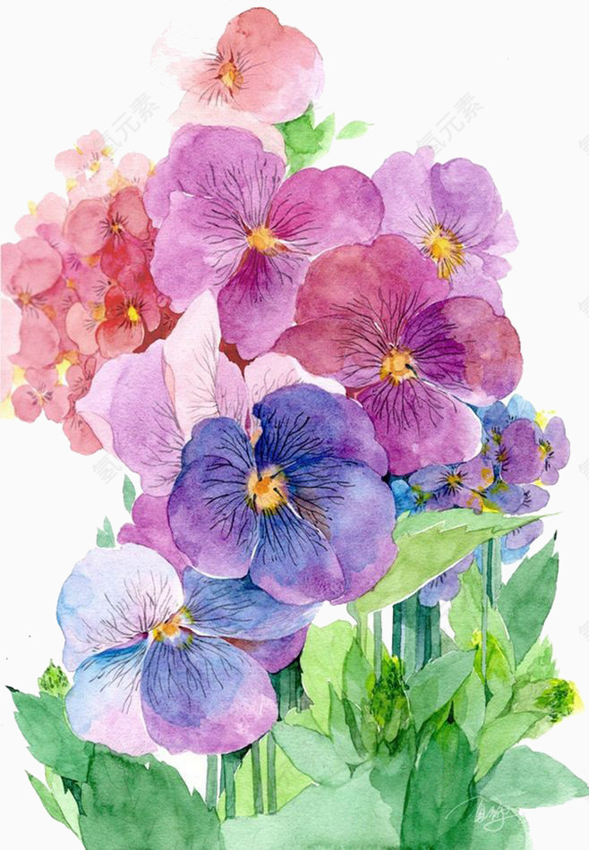 手绘鲜花
