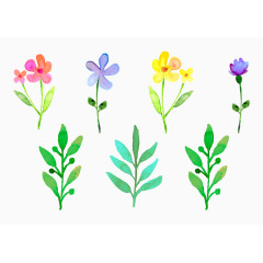 水彩画装饰性花朵