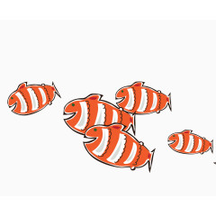 成群结队的小黄鱼