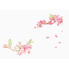 手绘唯美粉色桃花花枝合集