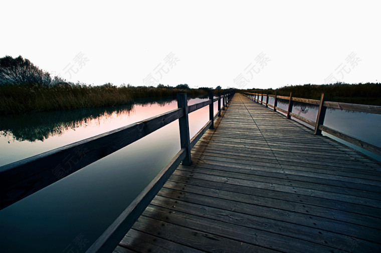 黄河湿地公园景区