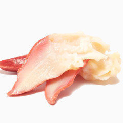 北极贝免扣素材