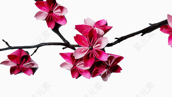 樱花花瓣
