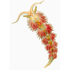 海洋生物