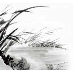 水墨画芦苇