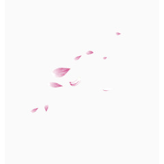 中国风清新粉色荷花花瓣