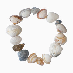 手绘图片相框图标 贝壳