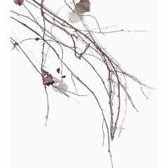 杂乱无章的落叶枯枝元素