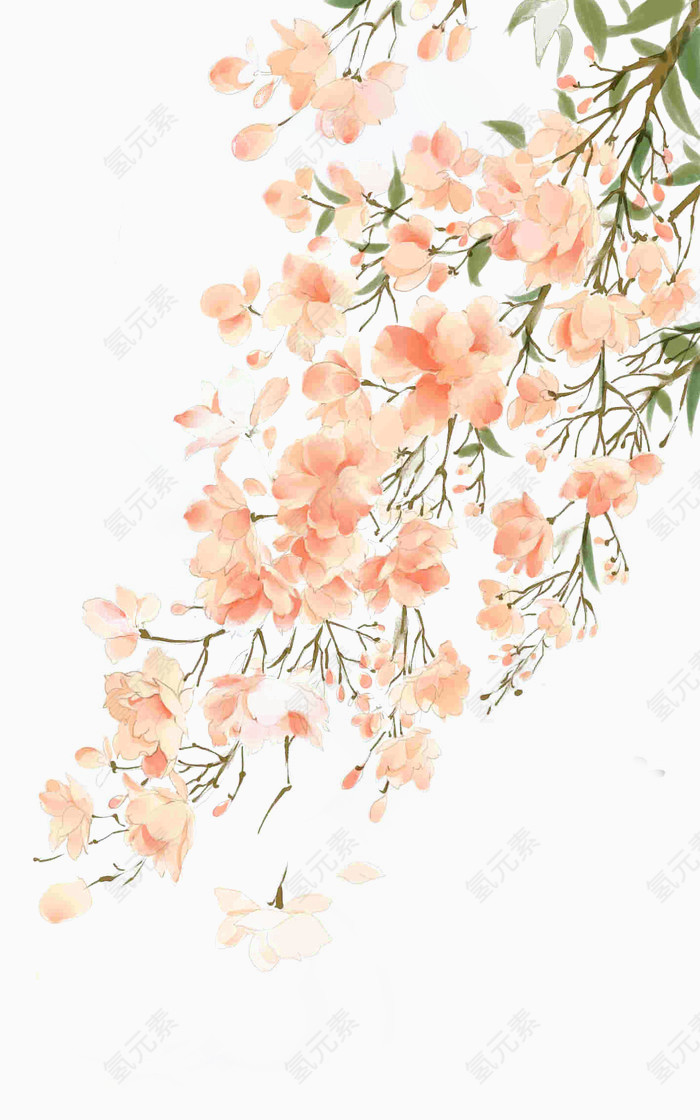 水彩枝叶花朵