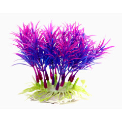 水族箱布景装饰水草花草