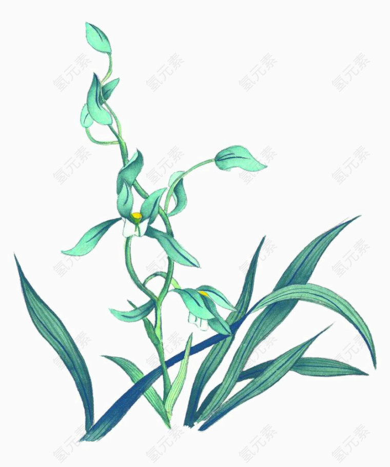 彩墨花草