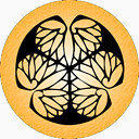 金苍井空日本妈妈