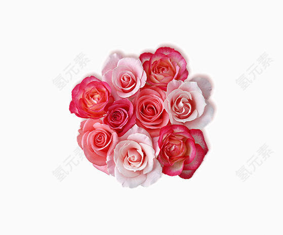 母亲节素材花朵花簇png素材