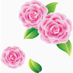 春天里的鲜艳花朵