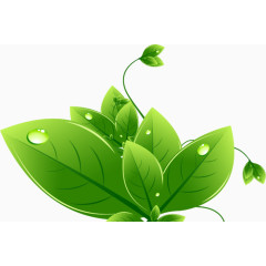 手绘卡通绿色树叶