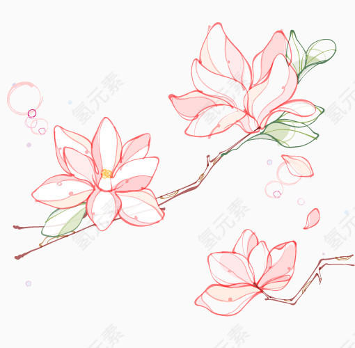 彩绘木兰花矢量元素