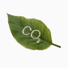 绿色环保