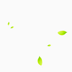 飘散的绿色树叶