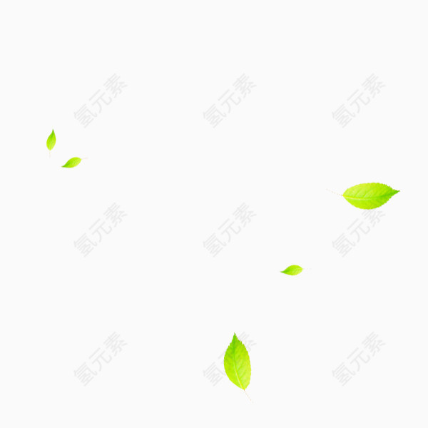 飘散的绿色树叶