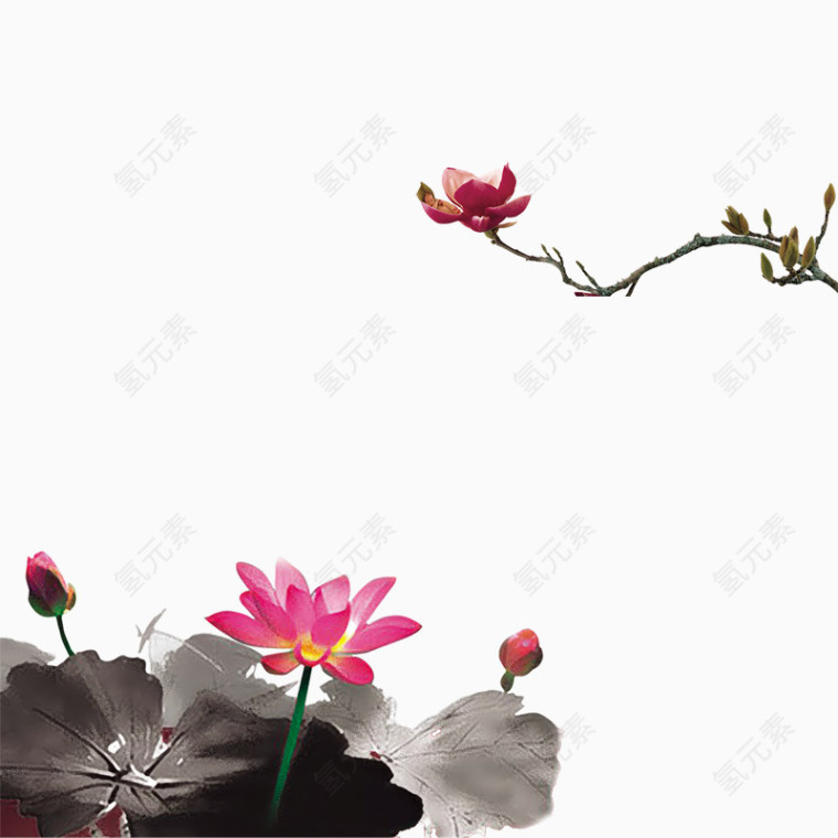 荷花彩绘夏季花朵