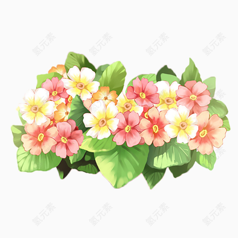 花朵设计素材
