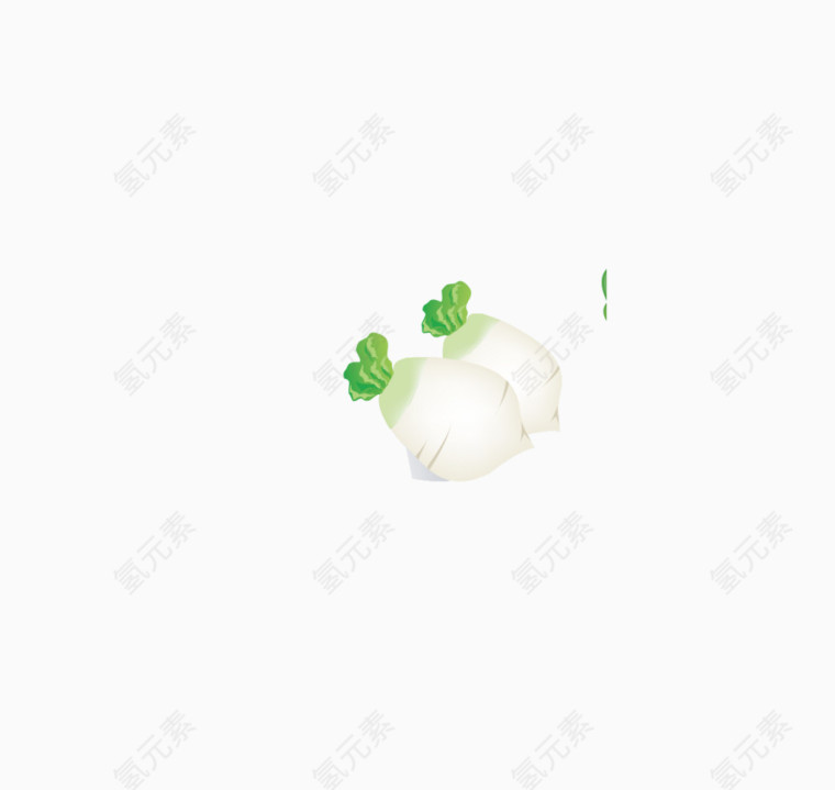 可爱白萝卜