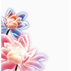 唯美卡通手绘荷花