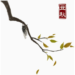 手绘树枝立秋