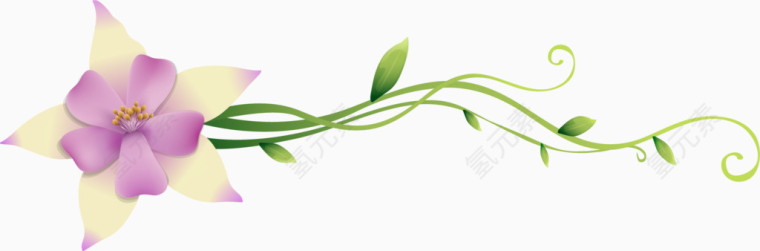 紫色花朵绿叶